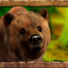 Символ Jungle Spirit - Медведь
