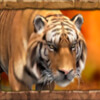 Символ Jungle Spirit - Тигр