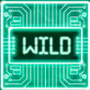 Символ Satoshis Secret - Wild (wild)