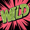 Символ Wild Wild West - x2 Multiplier Wild